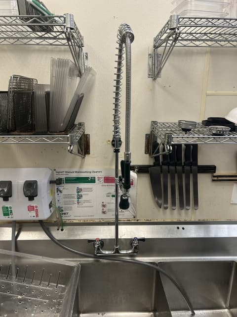 Commercial kitchen sink and sprayer