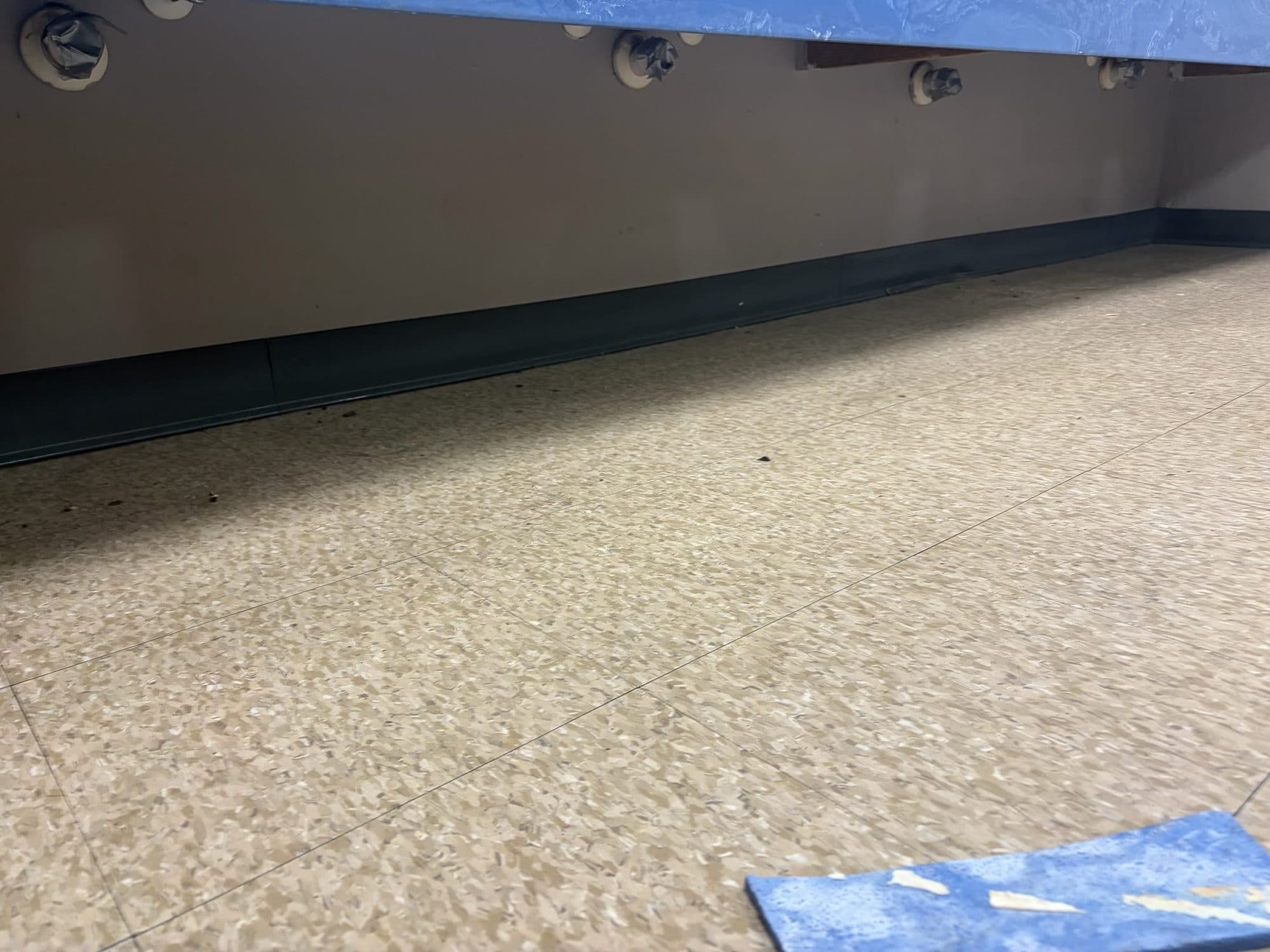 South Florida Christian Academy bathroom remodel demolition 6